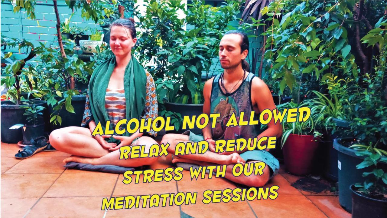 Zen Harmony House Sydney Hotel Buitenkant foto