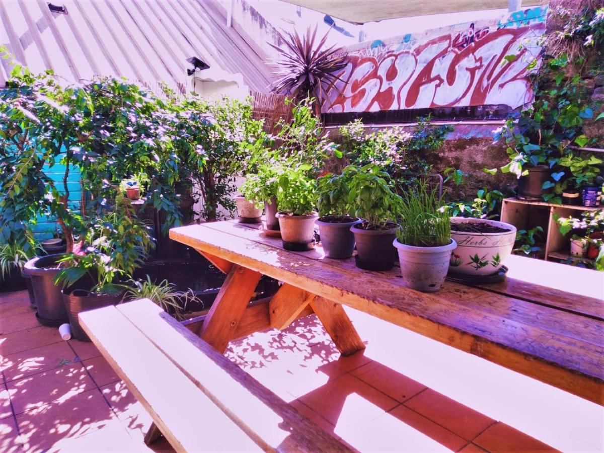 Zen Harmony House Sydney Hotel Buitenkant foto